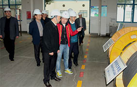 2015年11月22日，，，，，，郎溪县党政代表团一行来大宝娱乐电缆旅行考察