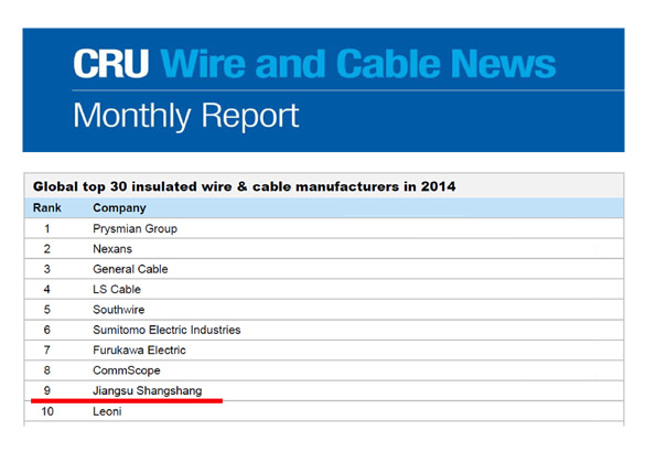 大宝娱乐电缆再次进入全球绝缘线缆制造商前十