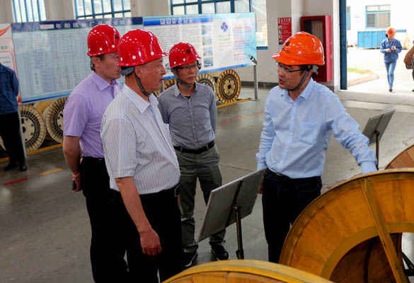 2016年5月14日，，，，，宁夏回族自治区人民政府研究室副主任苏昀一行来大宝娱乐电缆调研