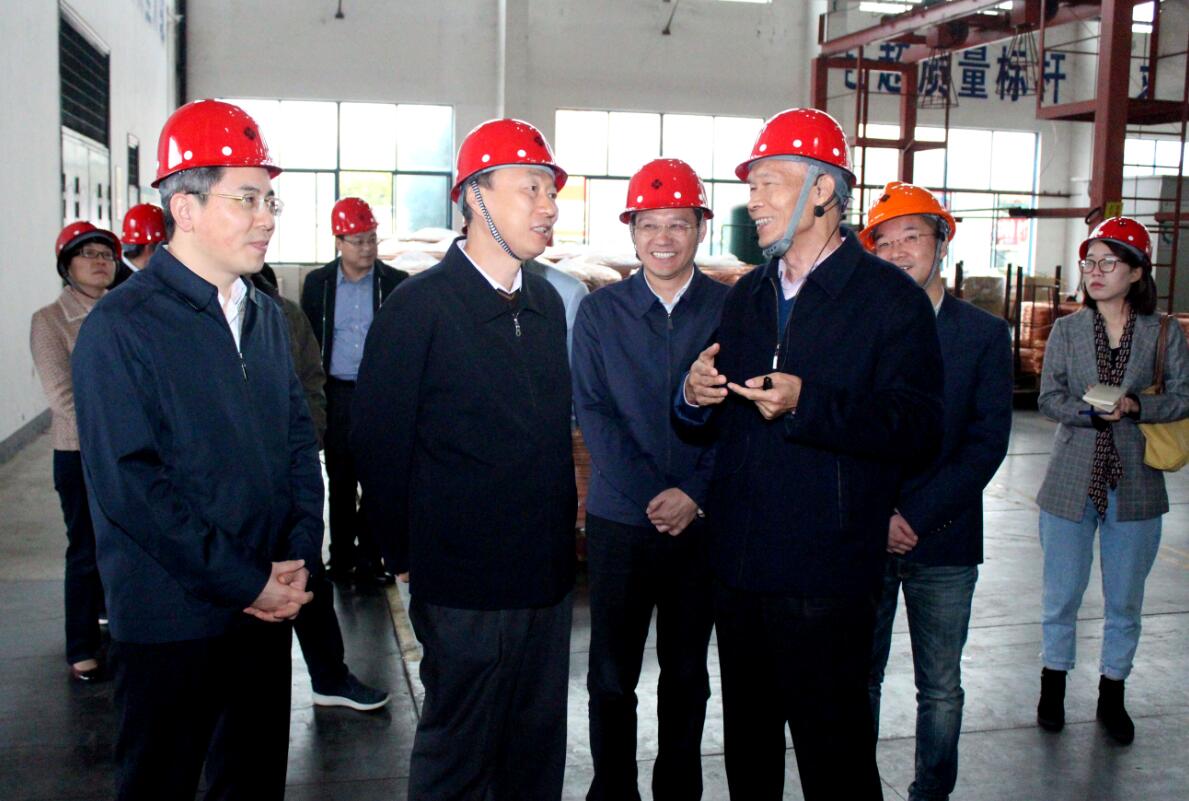 江苏省副省长马秋林一行来大宝娱乐电缆调研