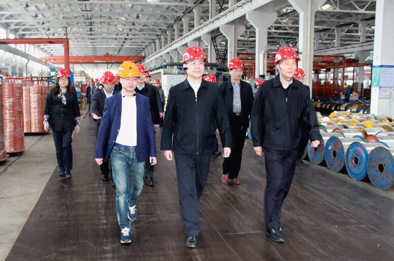 南京市六合区党政代表团来大宝娱乐电缆旅行考察