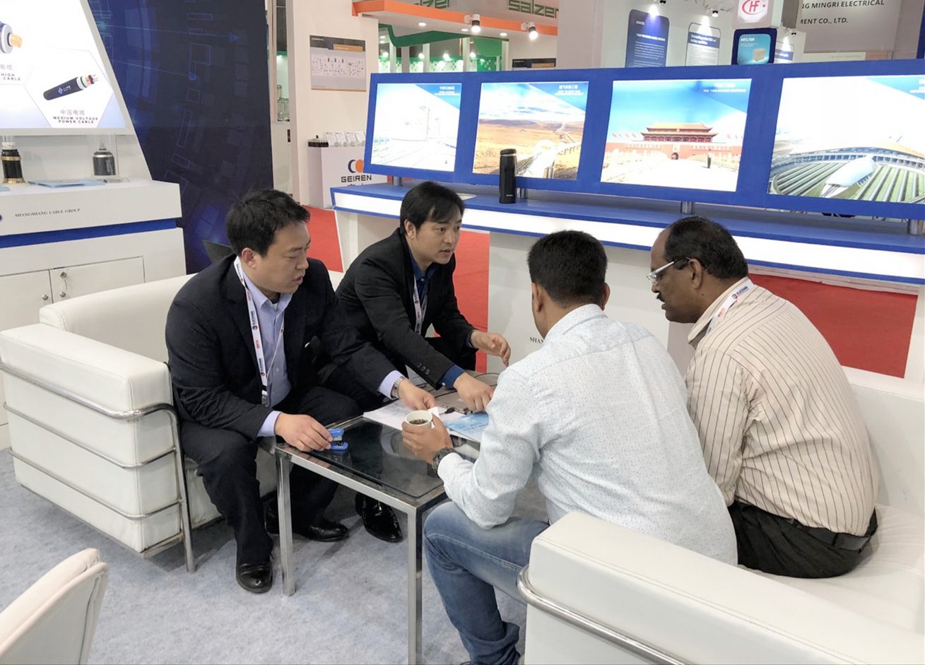 大宝娱乐电缆亮相印度新德里备受关注