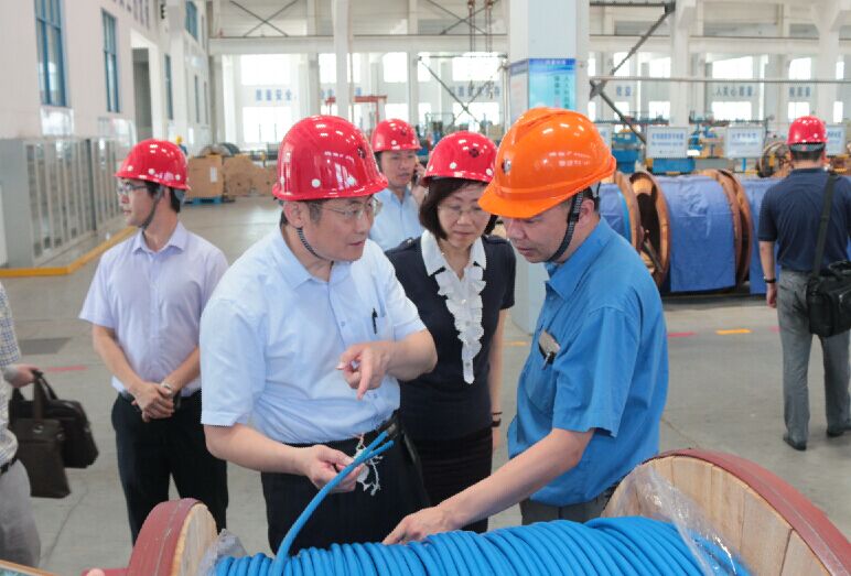 2016年7月22日，，，，，泸州市委常委、副市长王建翔一行来大宝娱乐电缆旅行考察