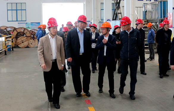 常州市副市长李小平一行来大宝娱乐电缆考察