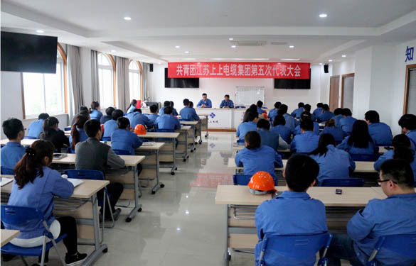 2016年4月20日，，，，，共青团大宝娱乐第五次代表大会召开