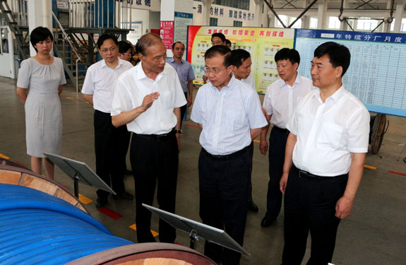 江苏省副省长傅自应来大宝娱乐集团视察