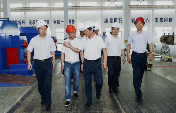 金坛区党政向导来大宝娱乐电缆旅行考察