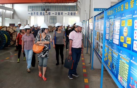 江苏大学与泰州市企业治理专家来大宝娱乐电缆观摩