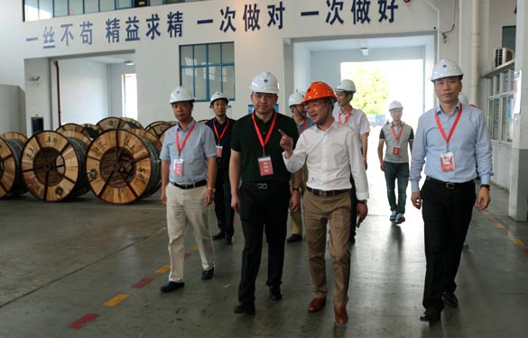 靖江市、溧阳市青商会齐聚大宝娱乐电缆旅行交流