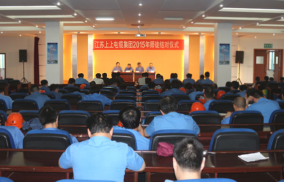 做好传帮带 专心育人才——大宝娱乐电缆举行2015年师徒结对仪式