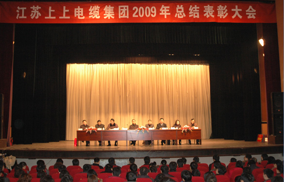 大宝娱乐盛大召开2009年度总结表扬大会