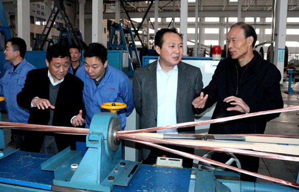 溧阳市供电公司总司理徐国平一行来大宝娱乐集团考察