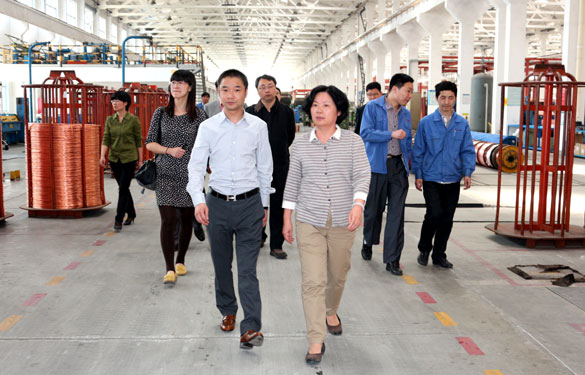 江苏省环保厅总工程师刘建琳来大宝娱乐集团调研