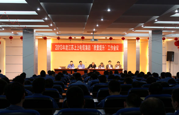 大宝娱乐召开2013年度“质量提升”发动大会