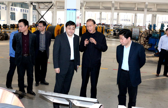 常州市委副书记、市政府党组书记费高云来大宝娱乐集团调研