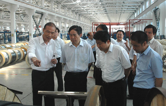 江苏省省长助理、省科技厅厅长徐南平来大宝娱乐集团调研