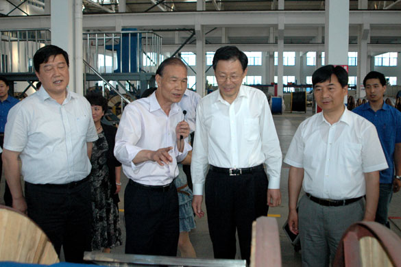 江苏省省长李学勇来大宝娱乐视察