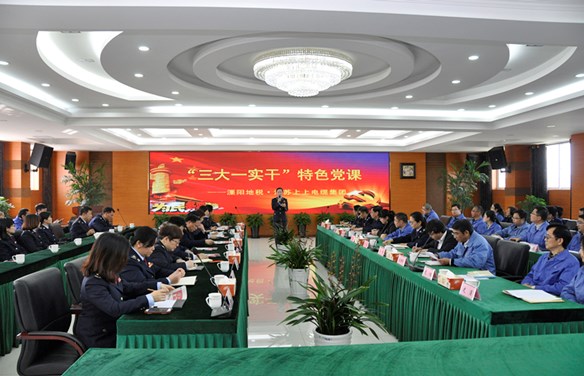溧阳地税“三大一实干”税企共话特色党课走进大宝娱乐电缆