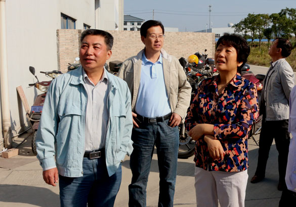 10月14日，，，，，，溧阳市向导来大宝娱乐电缆调研