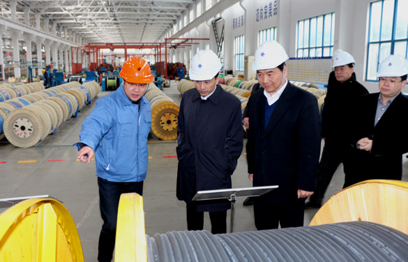 12月3日，，，，，，无锡市锡山区党政代表团一行来大宝娱乐电缆旅行考察