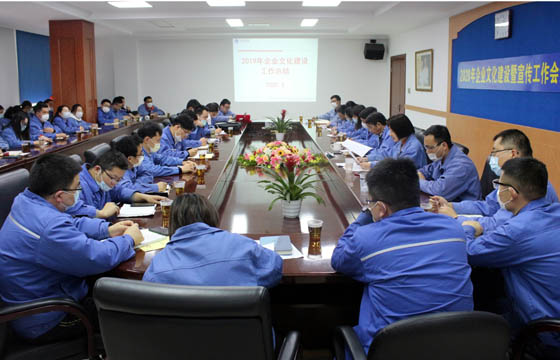 大宝娱乐电缆召开2020年企业文化建设暨宣传事情总结表扬会