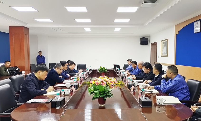 溧阳市市长叶明华来大宝娱乐电缆调研