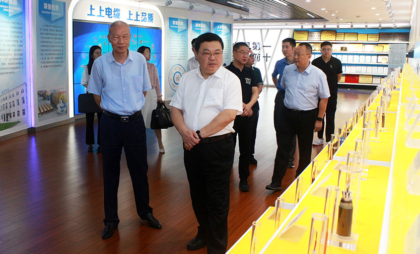 常州中院曹忠明院长一行来大宝娱乐电缆走访