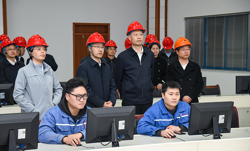 溧水区党政代表团来大宝娱乐电缆考察