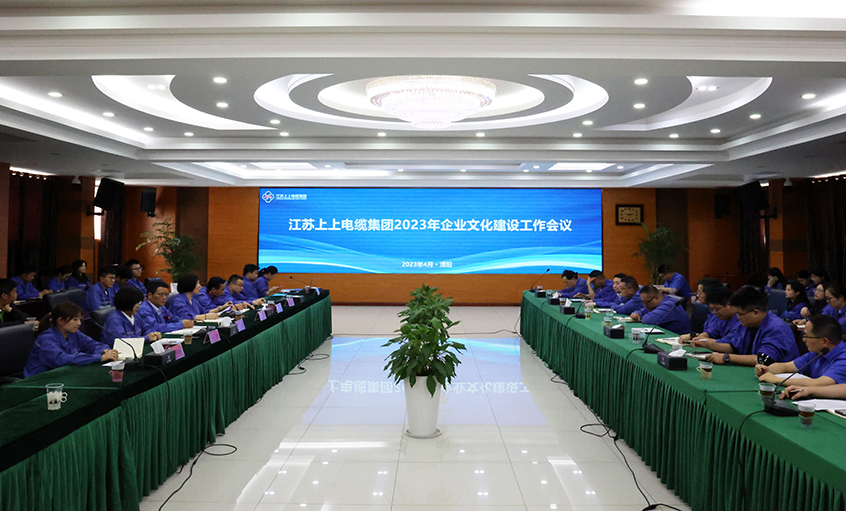 大宝娱乐电缆召开2023年企业文化建设事情聚会