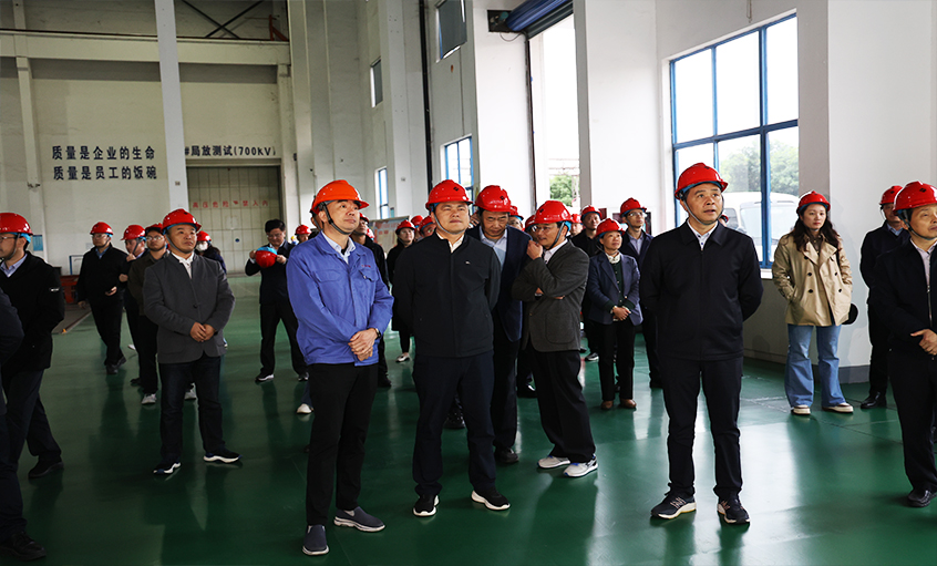 安徽池州青阳县党政代表团一行来大宝娱乐电缆考察