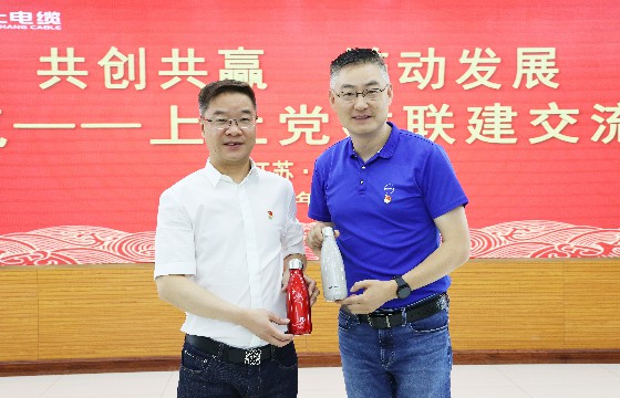 大宝娱乐电缆和上汽集团立异研发总院开展党建联建交流会